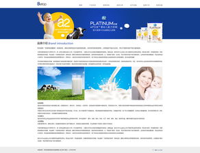 母婴食品网站建设 奔唐网络天津网站建设案例欣赏