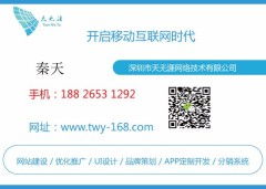 龙华网站建设与推广服务 专业公司助力企业发展