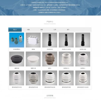 卓巨电子科技 上海高端网站建设与品牌设计案例解析